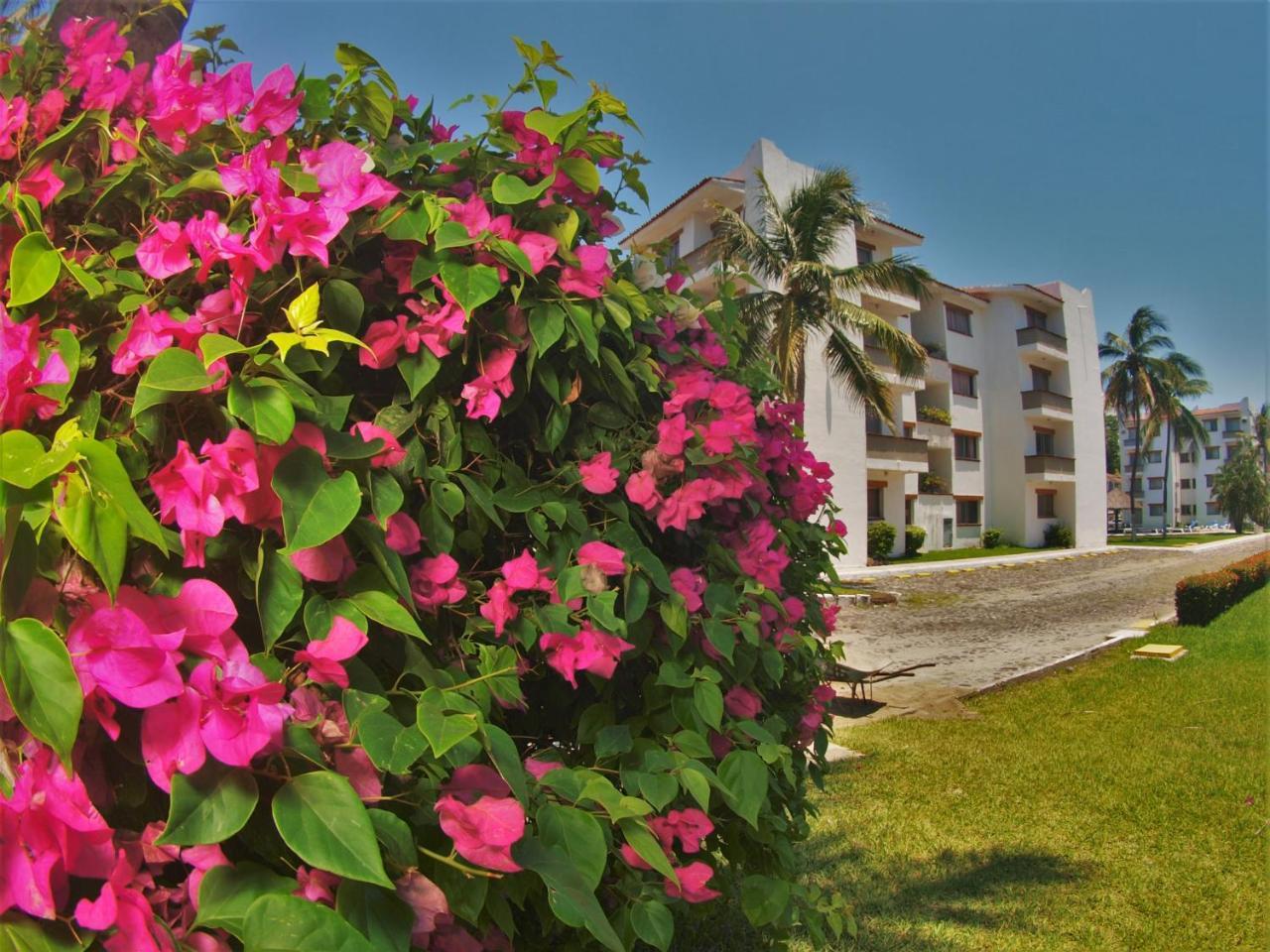 Suites Las Palmas Hotel Y Villas Manzanillo Buitenkant foto